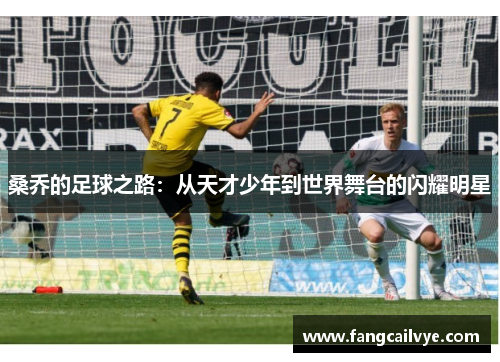 桑乔的足球之路：从天才少年到世界舞台的闪耀明星